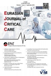 EJCC Dergisi